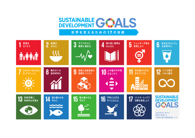 sdg_logo